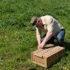 Wsiedlenie Kuropatw w łowisko 10.05.2016 obw 266 i 277